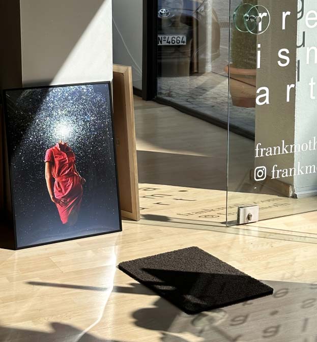 Opera d’arte incorniciata di Frank Moth